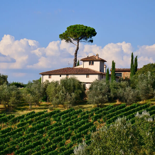 Sports and nature image